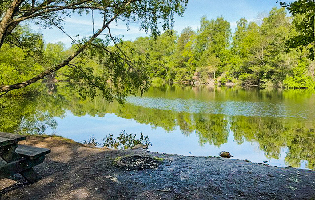 Gård i Dalby, 5 bäddar – bild 3 av 5