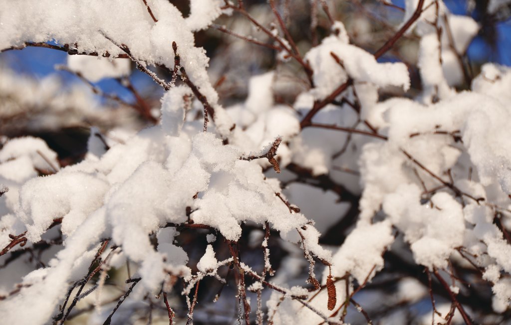 Feriehuse - Knäred , Sverige - S02537 5