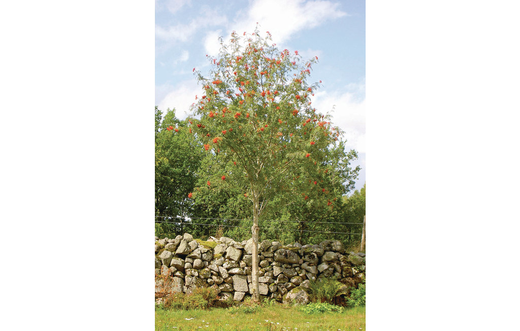 Ferienhaus - Torup , Schweden - S02570 16