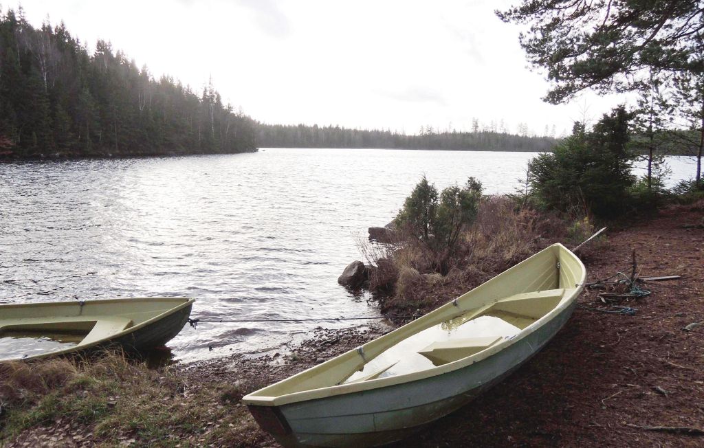 Semesterhus - Fegen , Sverige - S02507 17