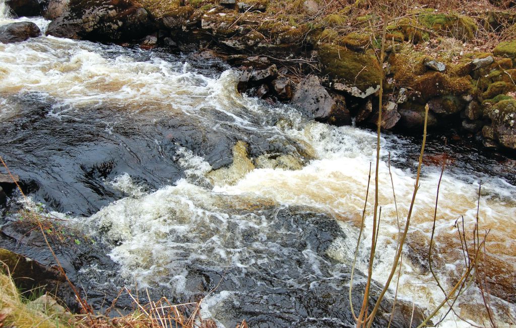 Feriehuse - Källsjö/Ullared , Sverige - S02487 22