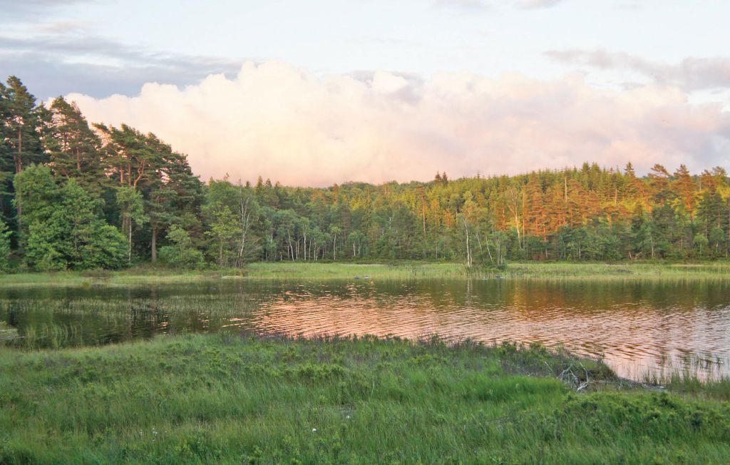 Feriehus - Kungsäter , Sverige - S02584 14