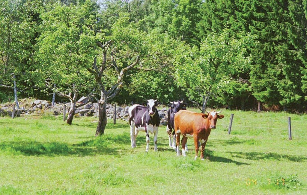 Ferienhaus - Torup , Schweden - S02570 18
