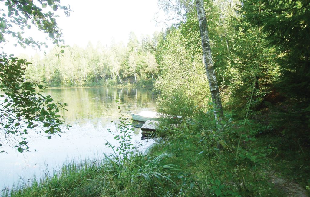 Semesterhus - Oskarsström , Sverige - S02026 2