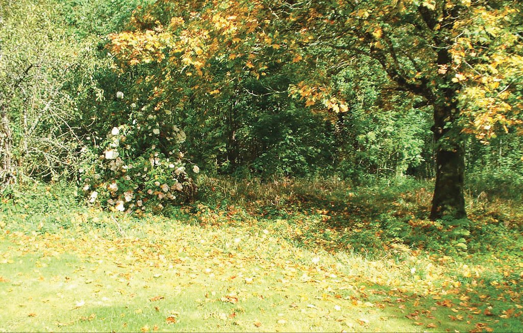 Feriehus - Gunnarp , Sverige - S02655 15