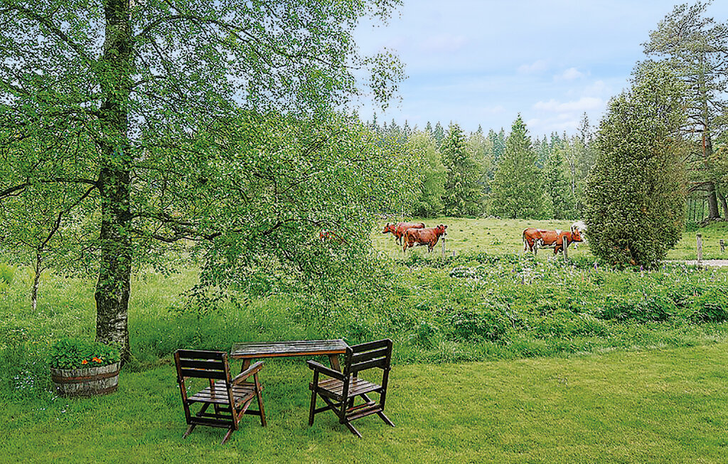 Feriehus - Ätran , Sverige - S02516 8