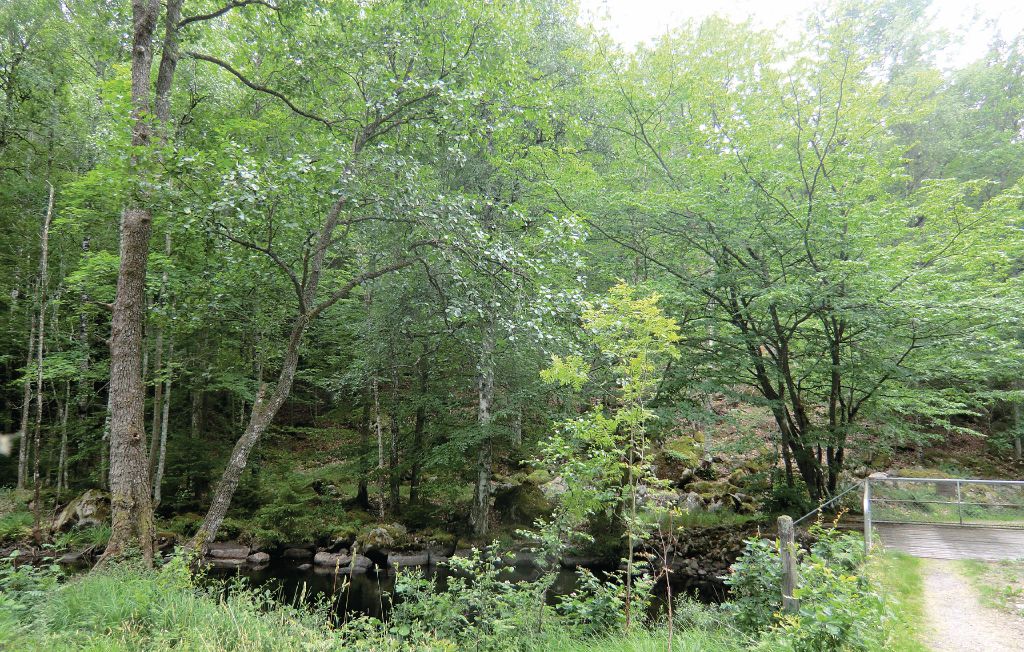 Ferienhaus - Karlshamn , Schweden - S03006 17