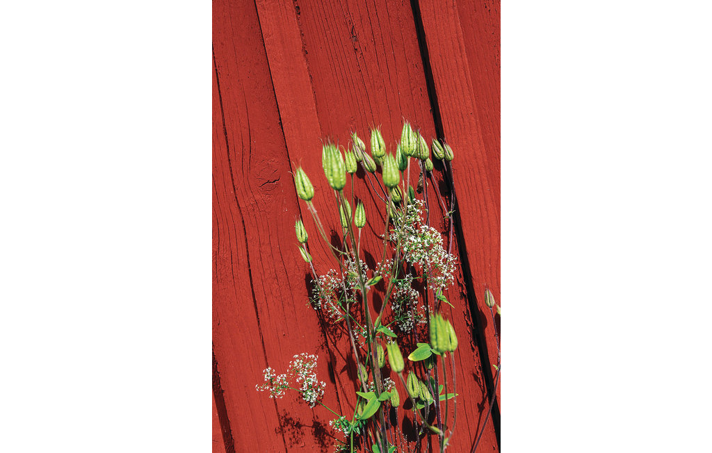 Ferienhaus - Holmsjö , Schweden - S03368 11