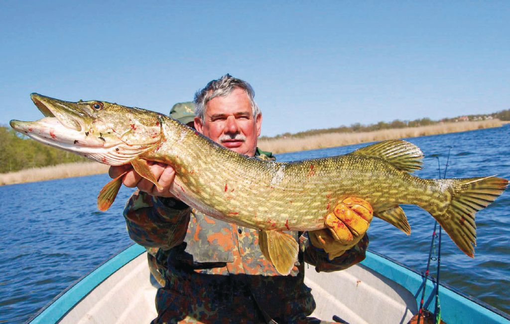 Semesterhus - Karlskrona , Sverige - S03343 7