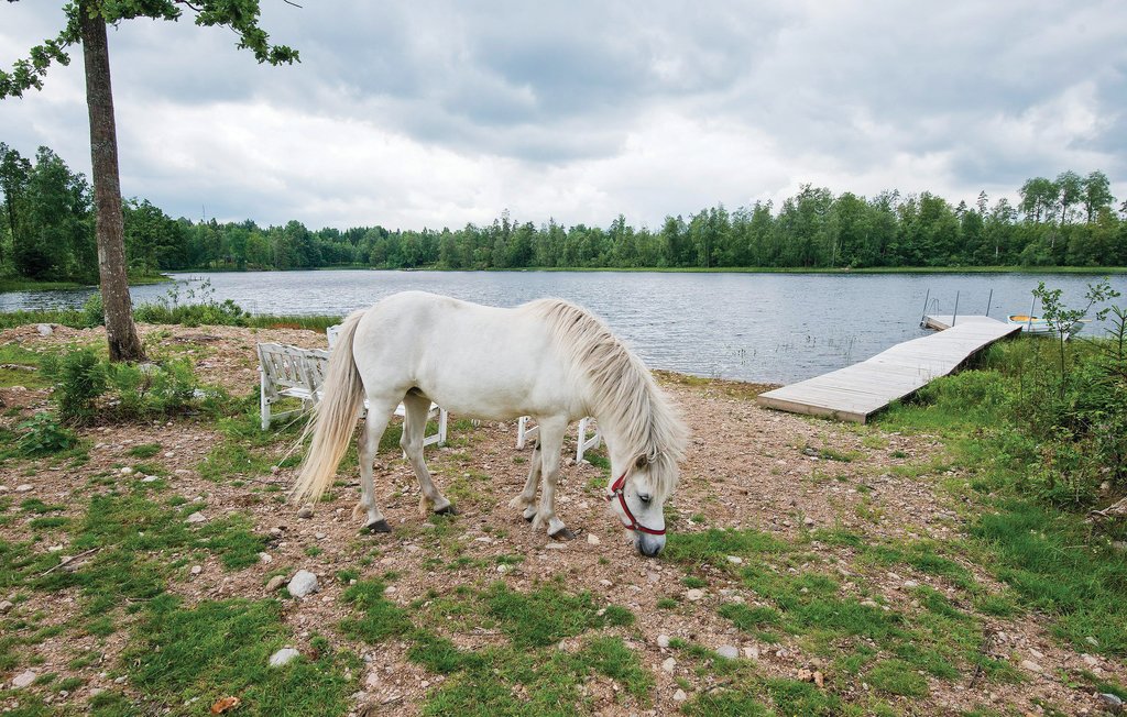 Feriehuse - Holmsjö , Sverige - S03391 44