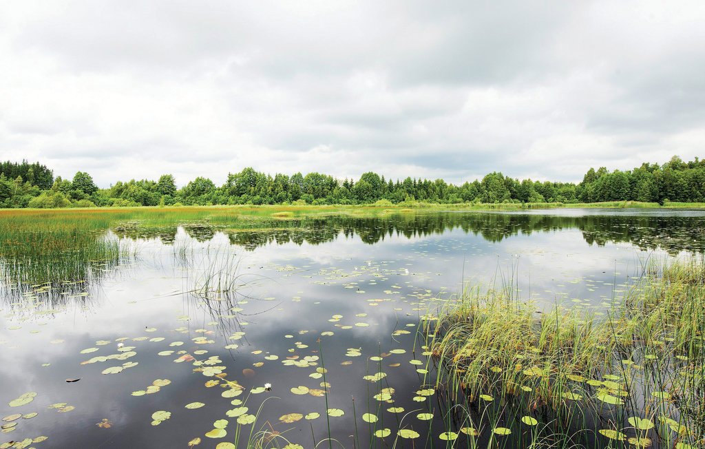 Feriehuse - Holmsjö , Sverige - S03391 46