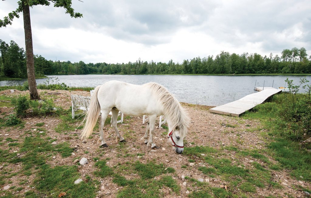 Ferienhaus - Holmsjö , Schweden - S03390 39