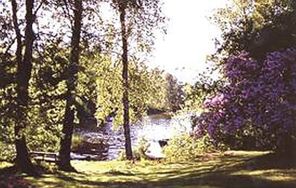 Feriehuse - Holmsjö , Sverige - S03246 13