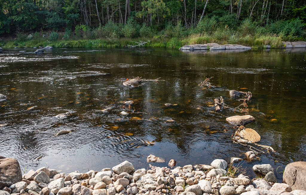 Ferienhaus - Svängsta , Schweden - S03402 21