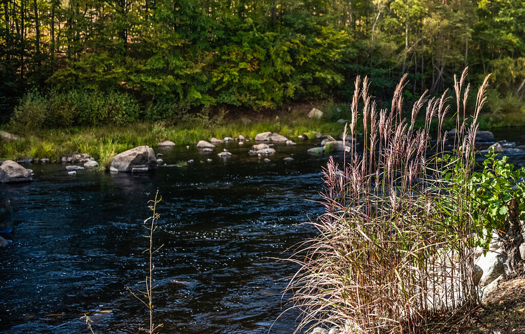 Ferienhaus - Svängsta , Schweden - S03402 22