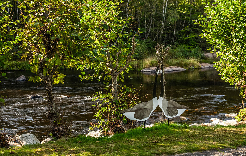 Ferienhaus - Svängsta , Schweden - S03402 24