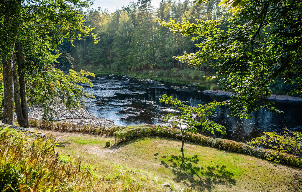 Ferienhaus - Svängsta , Schweden - S03402 25