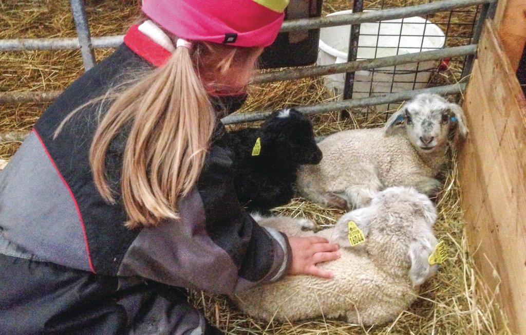 Feriehuse - Nästa/Värnamo , Sverige - S04624 17