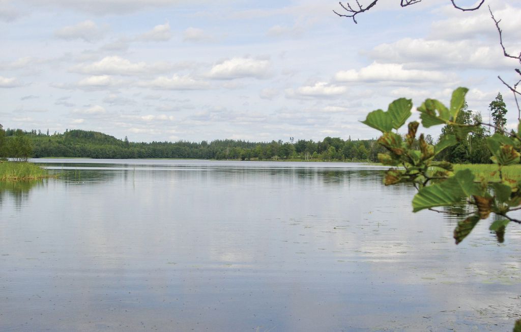 Ferienhaus - Broaryd , Schweden - S04407 13