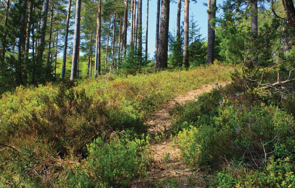 Ferienhaus - Hestra , Schweden - S04059 18