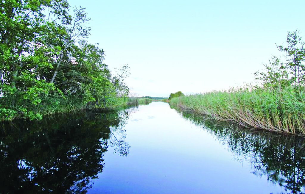 Feriehus - Lillarp/Kösen , Sverige - S04422 27