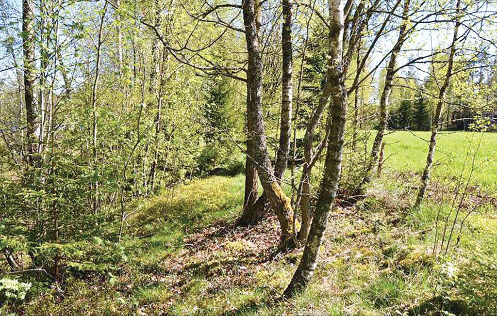 Ferienhaus - Broaryd , Schweden - S04970 20