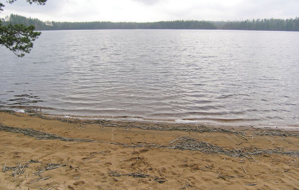 Feriehus - Lidhult , Sverige - S04030 14