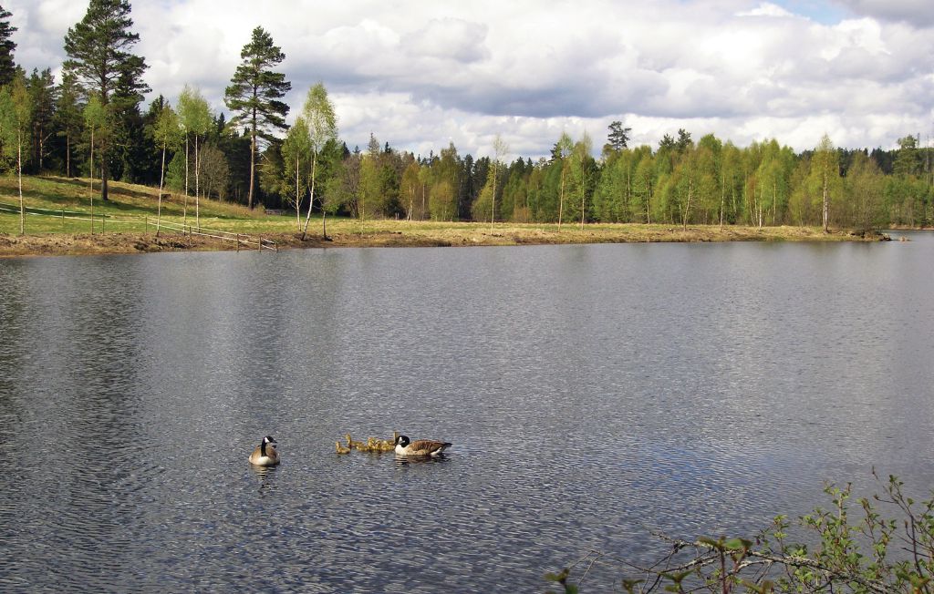 Ferienhaus - Lilla Föreberg/Kvarnen , Schweden - S04068 18
