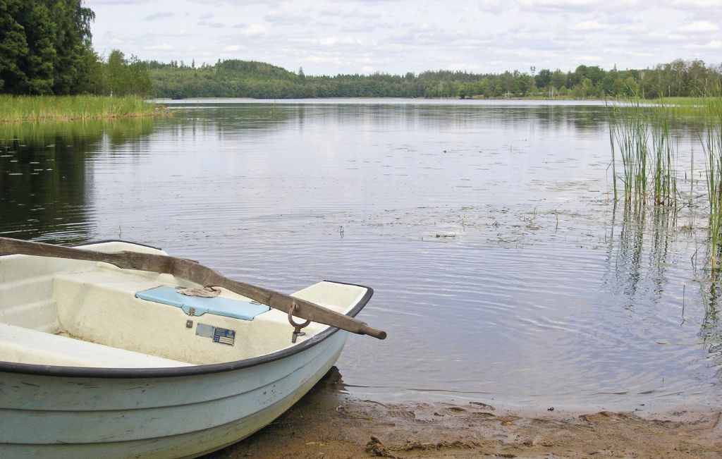 Ferienhaus - Broaryd , Schweden - S04407 12