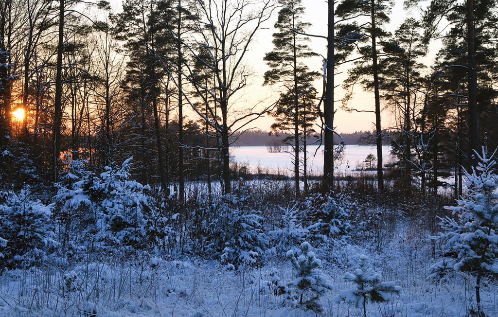 Feriehus - Lillarp/Kösen , Sverige - S04592 28