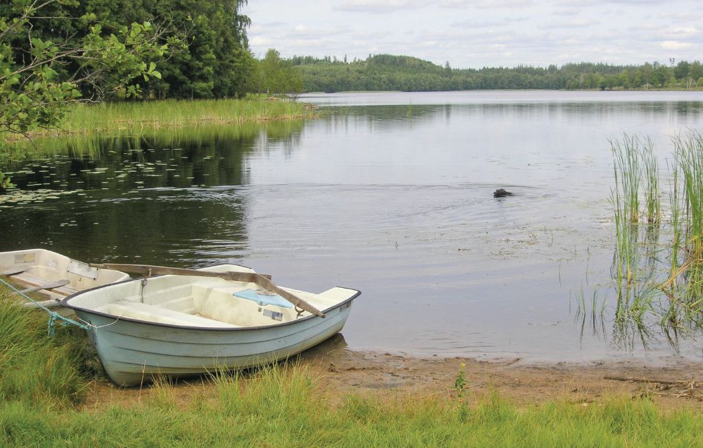 Ferienhaus - Broaryd , Schweden - S04407 16