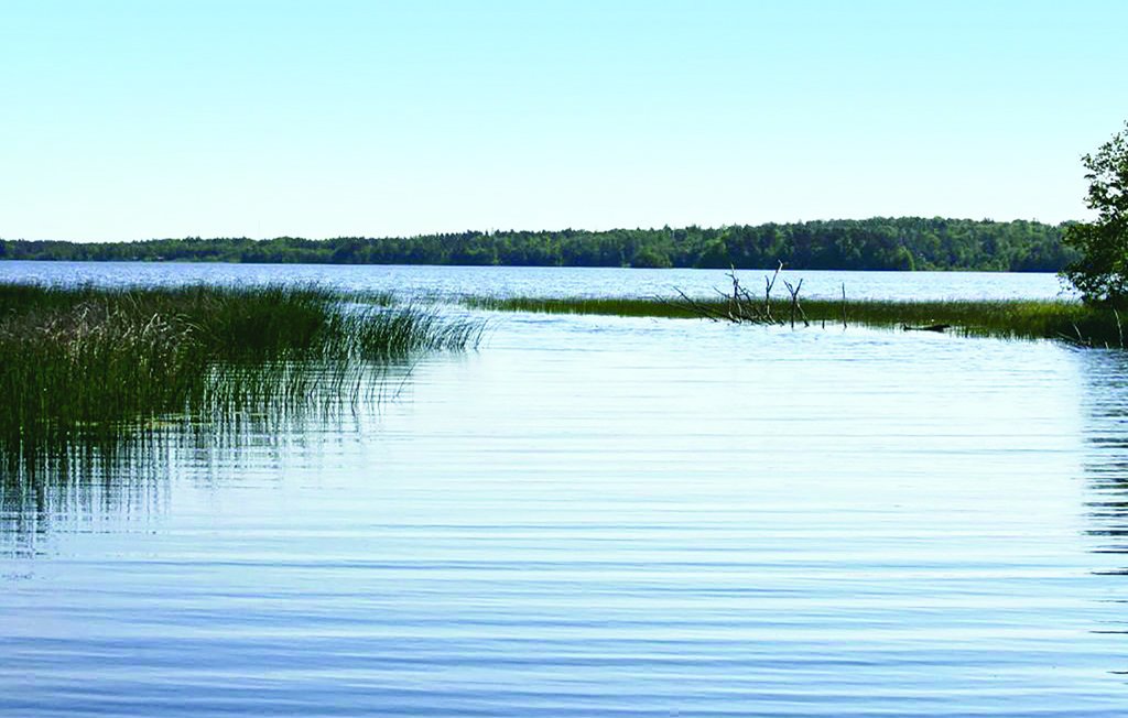 Feriehus - Lillarp/Kösen , Sverige - S04422 28