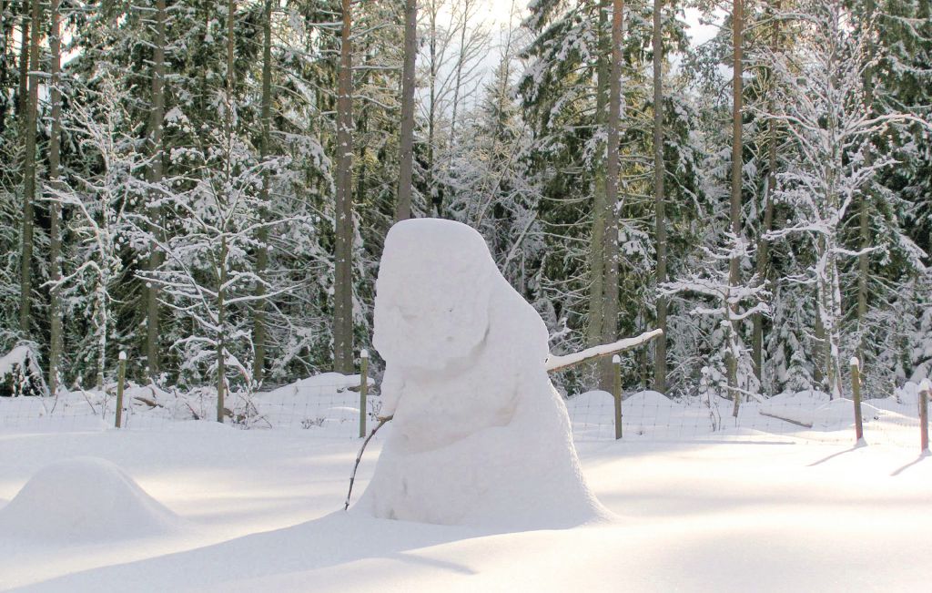 Ferienhaus - Lagan , Schweden - S04557 24