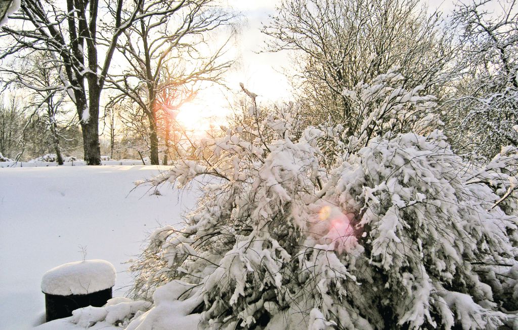 Ferienhaus - Lagan , Schweden - S04666 27