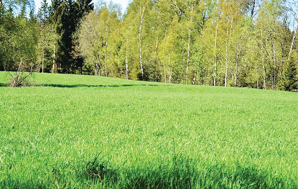 Ferienhaus - Broaryd , Schweden - S04970 21