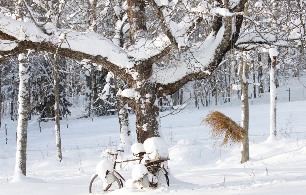 Ferienhaus - Hestra , Schweden - S04059 6