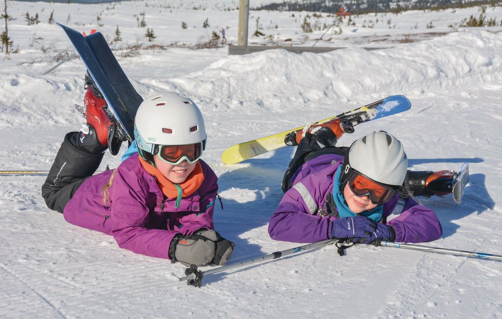 Feriehus - Öreryd/Hestra , Sverige - S04721 12