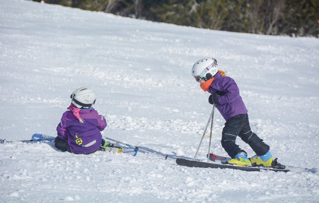 Ferienhaus - Hestra , Schweden - S04059 17