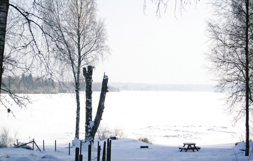 Ferienhaus - Lagan , Schweden - S04359 18