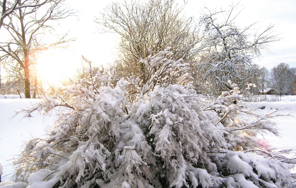 Feriehus - Vittaryd , Sverige - S04396 23