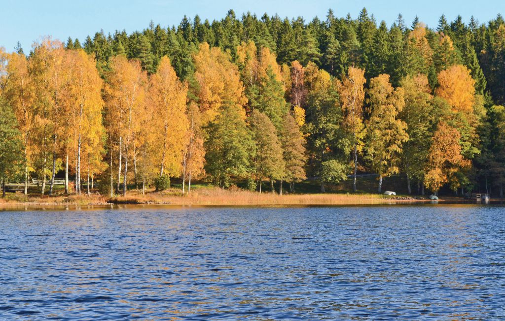 Feriehus - Loftsgård/Gislaved , Sverige - S04065 23