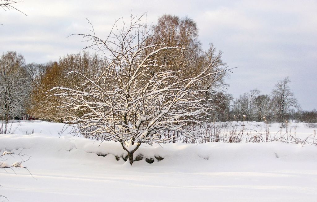 Ferienhaus - Lagan , Schweden - S04359 19