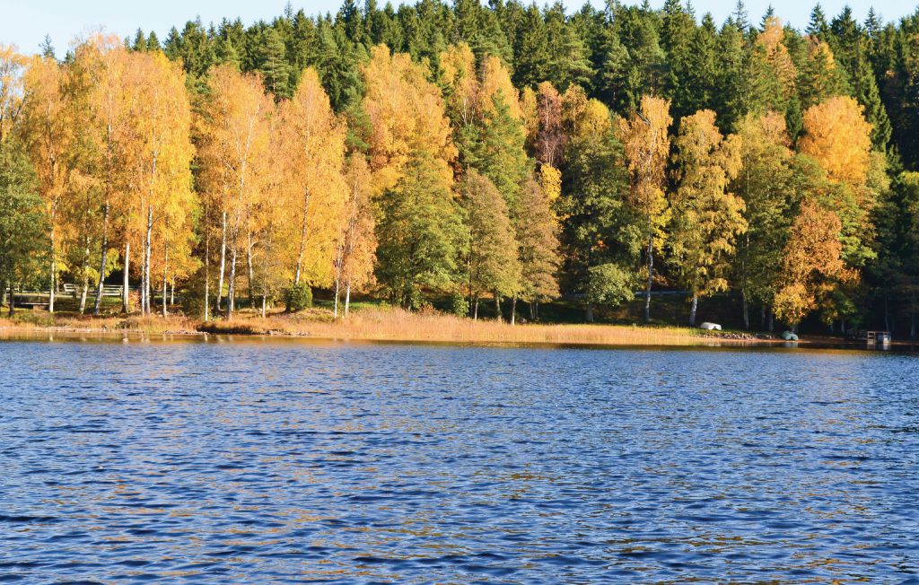 Feriehuse - Gislaved , Sverige - S04564 16