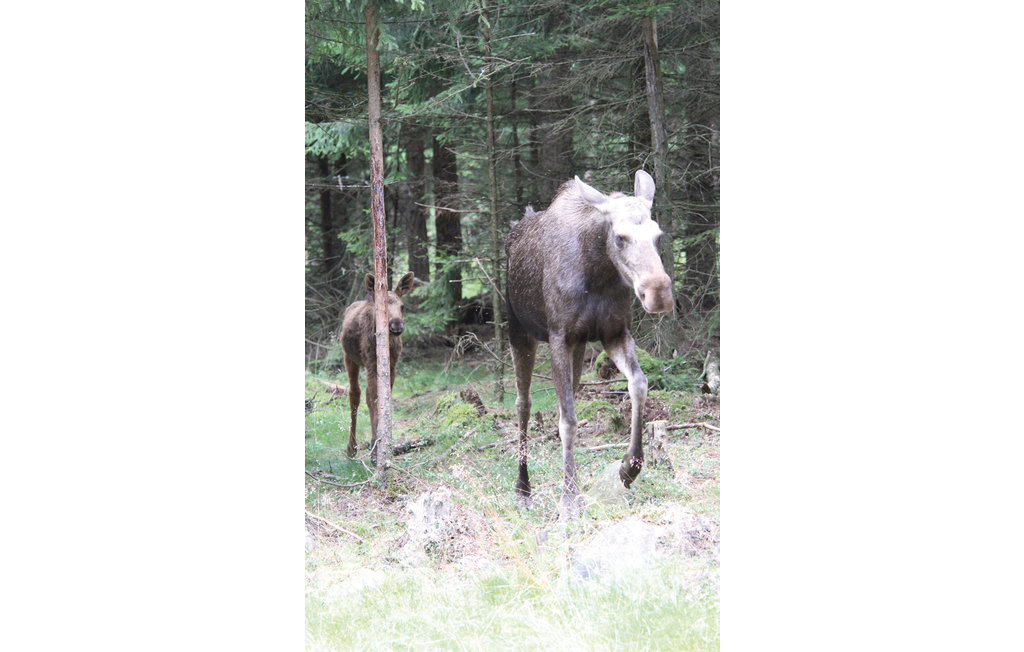 Feriehus - Lillarp/Kösen , Sverige - S04422 34