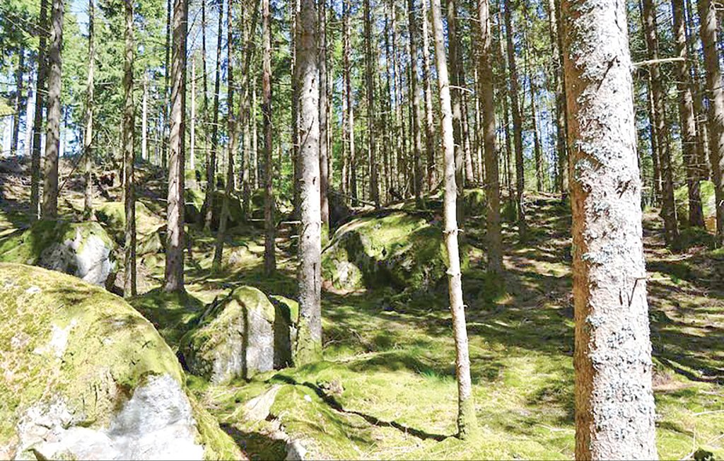 Ferienhaus - Broaryd , Schweden - S04970 19