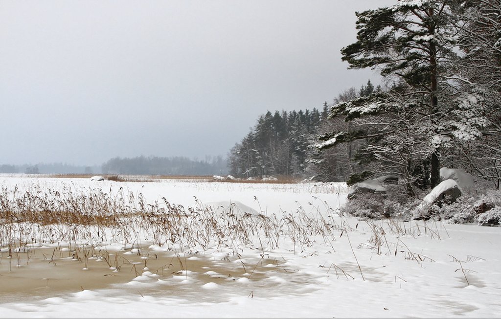 Feriehus - Lillarp/Kösen , Sverige - S04592 30