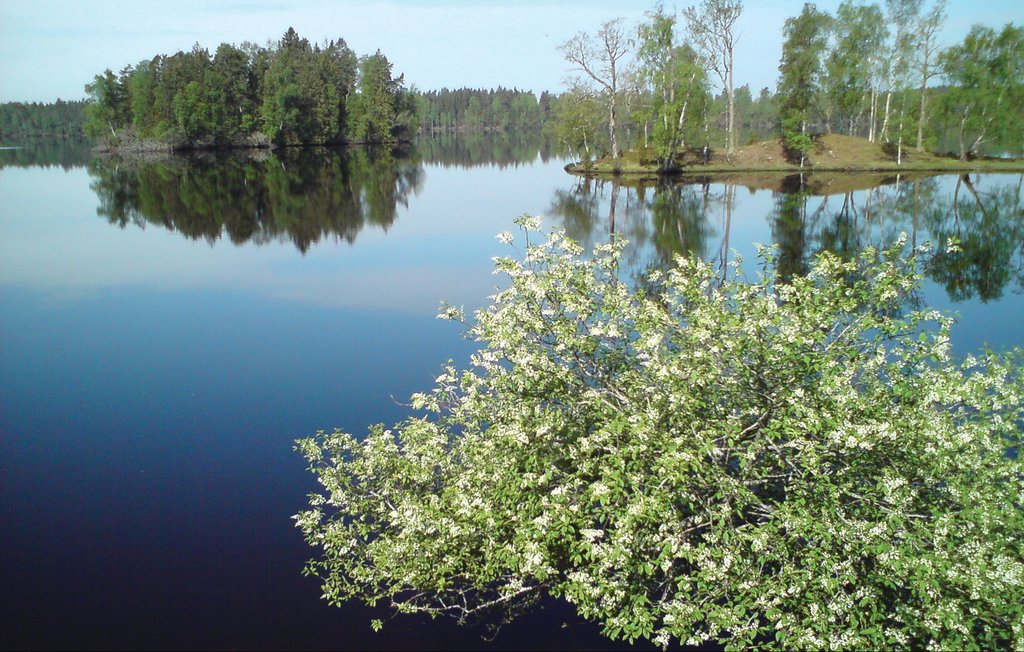 Feriehuse - Nästa/Värnamo , Sverige - S04624 21