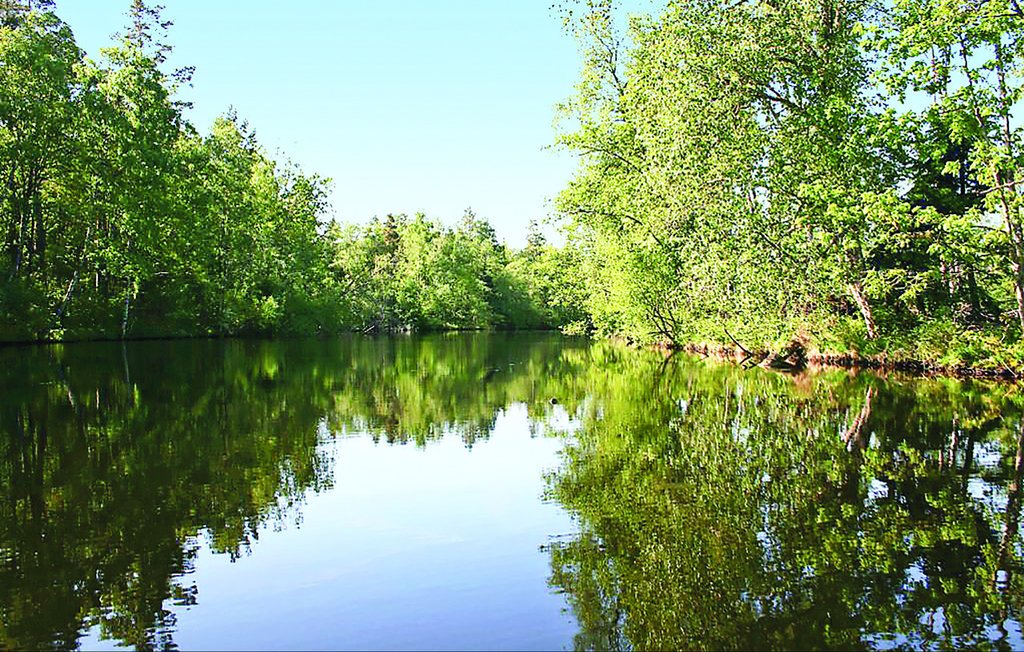 Feriehus - Lillarp/Kösen , Sverige - S04422 29