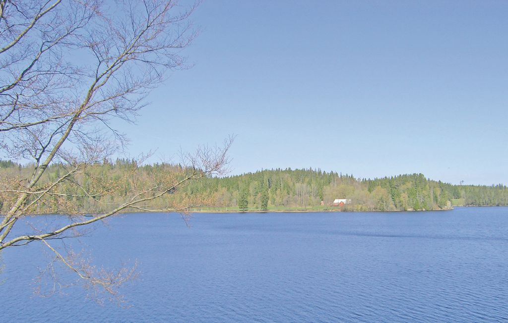 Ferienhaus Smålandsstenar, Schweden