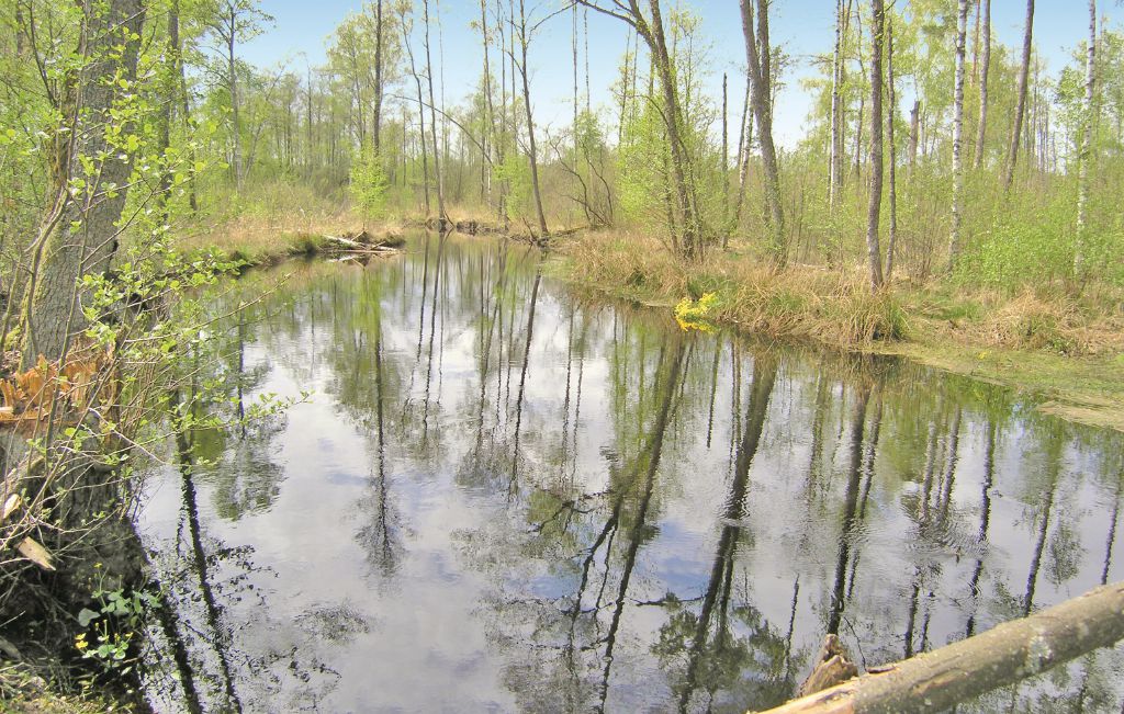 Feriehus - Tjurkö/Agunnaryd , Sverige - S05276 29